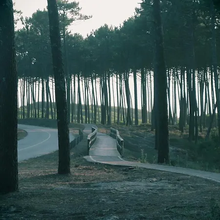 Golden Waves Surf And Yoga Furadouro * Ovar