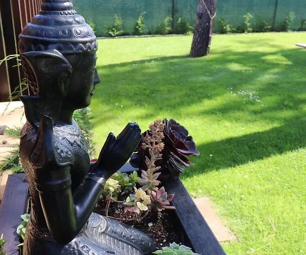 Golden Waves Surf And Yoga Furadouro אובאר