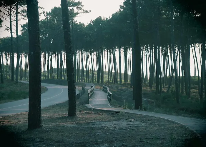 Golden Waves Surf And Yoga Furadouro * אובאר