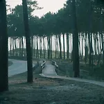 Golden Waves Surf And Yoga Furadouro * Ovar