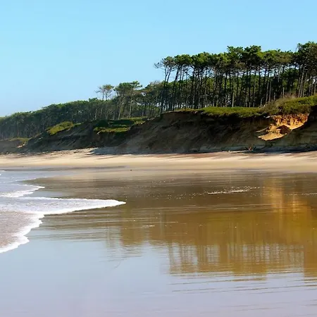Auberge de jeunesse Golden Waves Surf And Yoga Furadouro Ovar