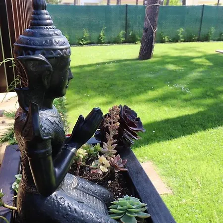 Golden Waves Surf And Yoga Lodge Ovar